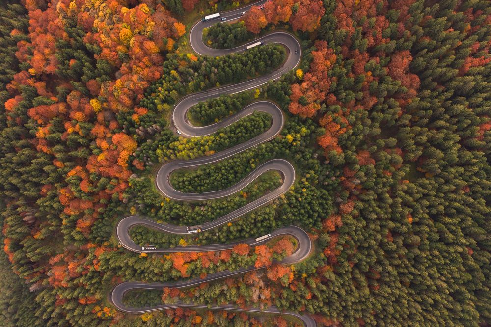 Photograph by Alex Coman