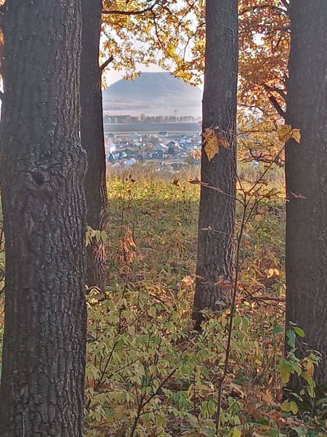 Photo #6683963