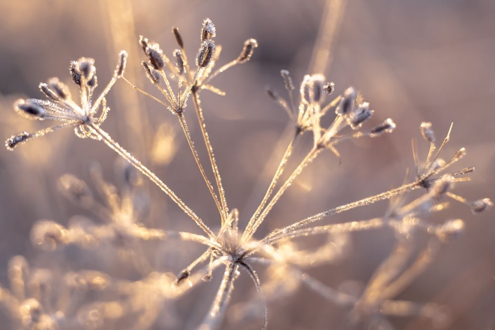 Photograph by Александр Слепцов