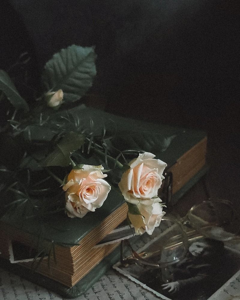 Photograph by Helen Ka