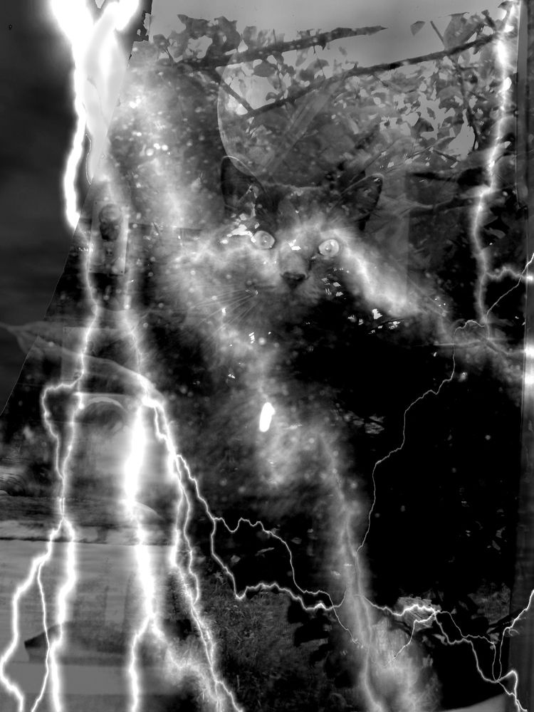 Фотография автора Клавдия Васильева