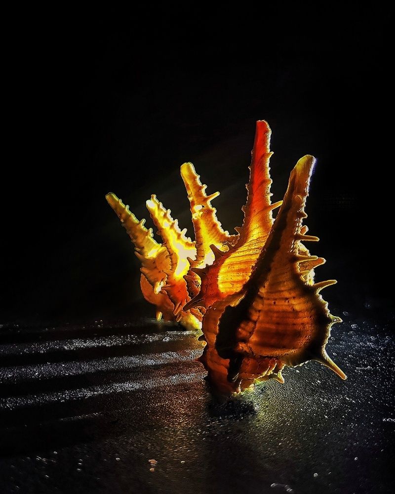 Photograph by Наталья Балабанова