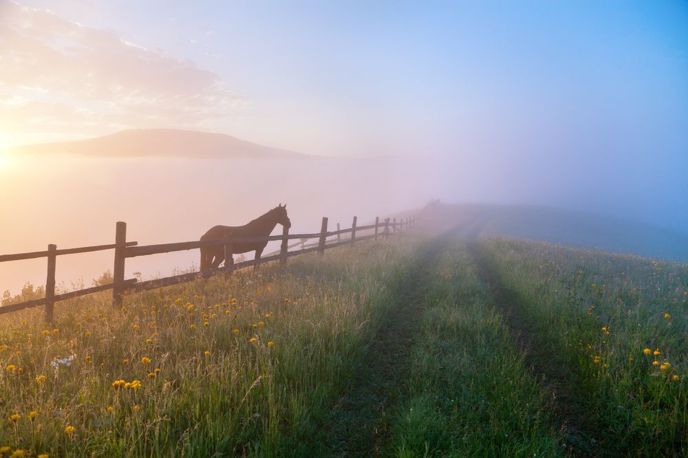 Photograph by Юлия Рублевская