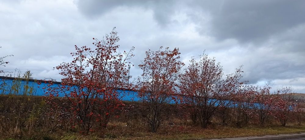 Фотография автора Александр Осинцев