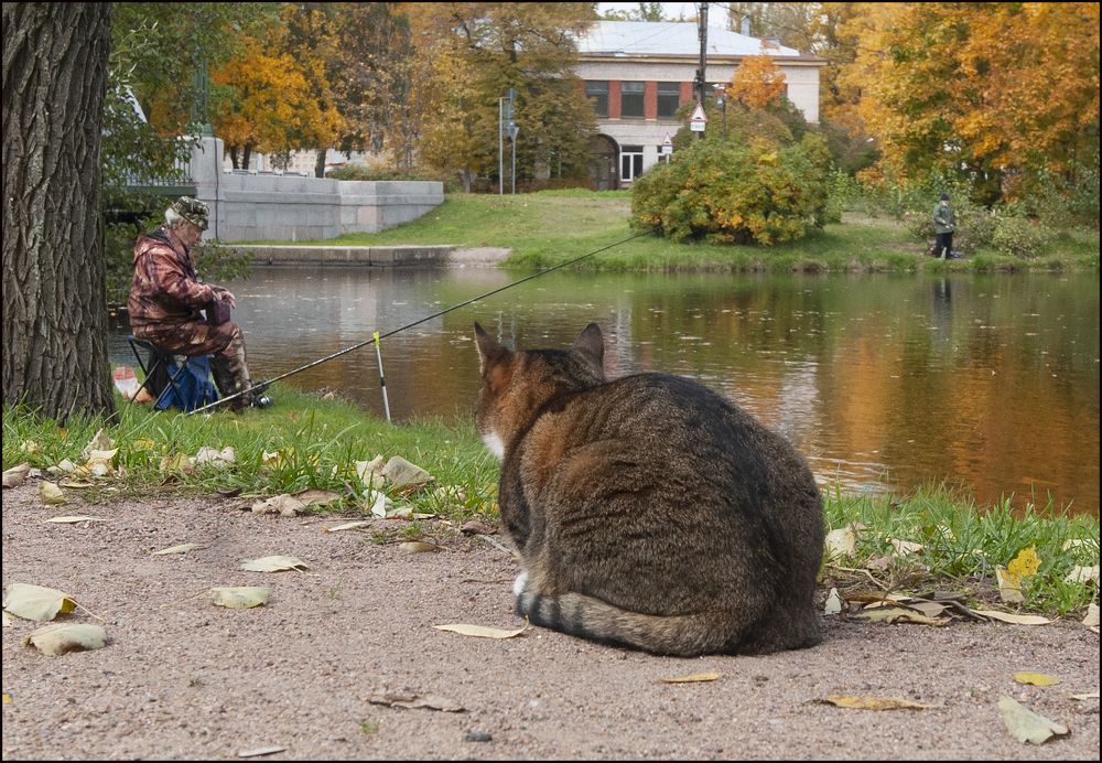 Photograph by Георгий Сапожников