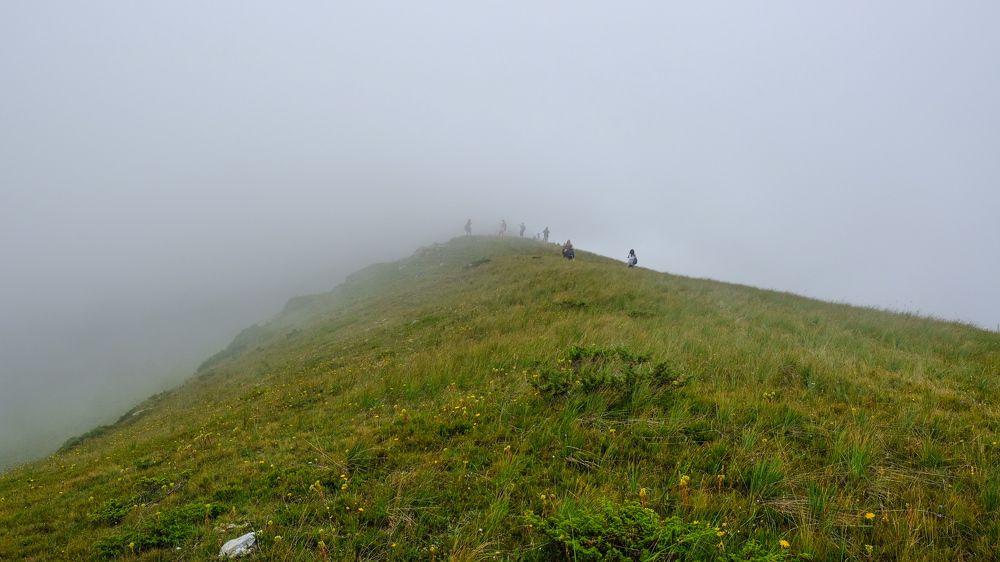 Фотография автора Renis Hyka