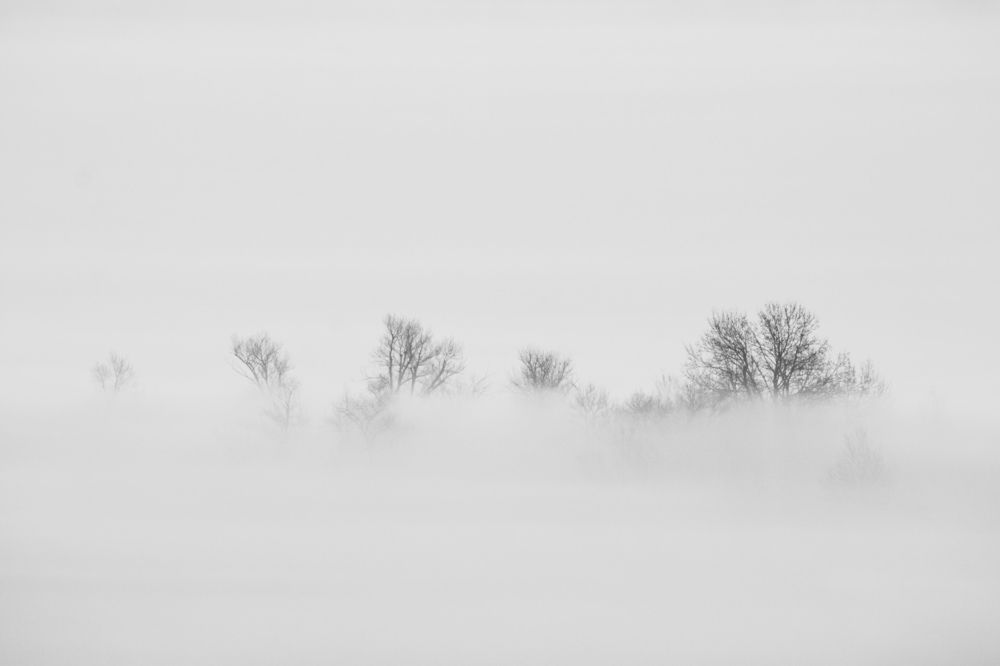 Photograph by Цветков Сергей