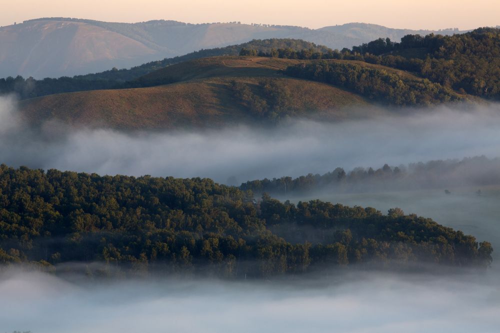 Фотография автора Олег Грачёв