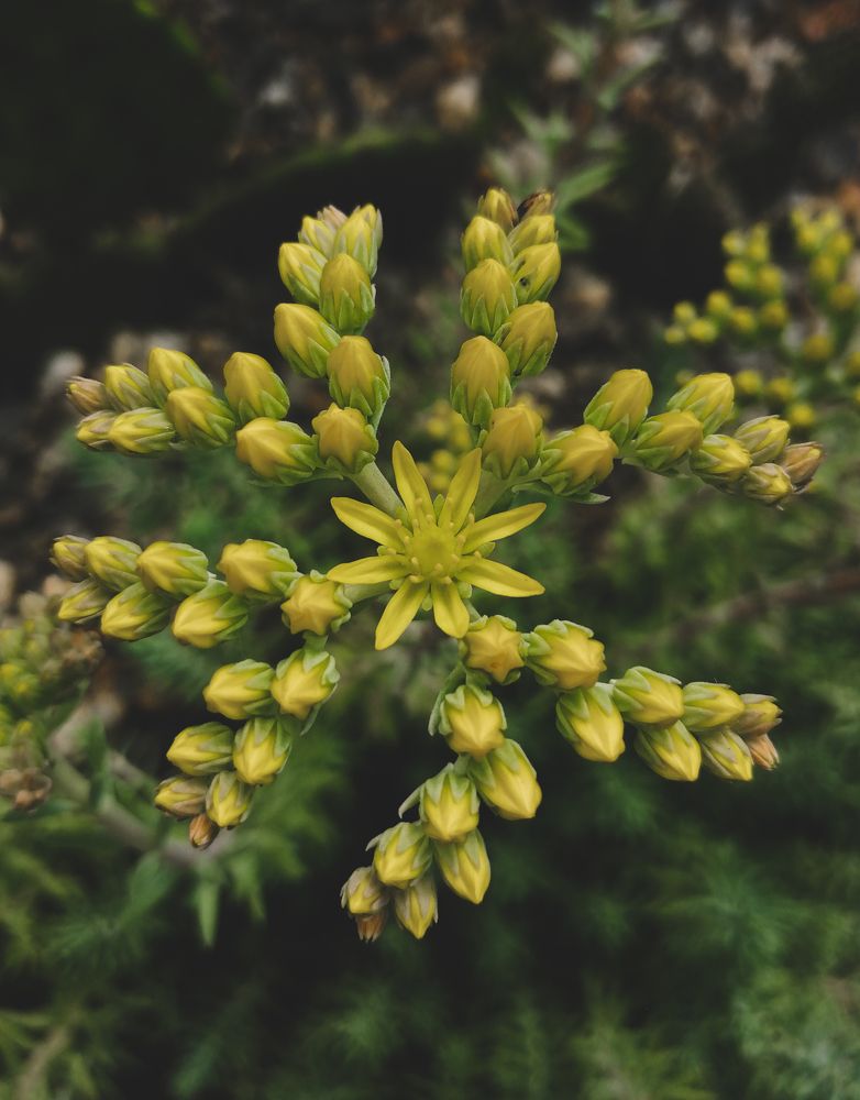 Photograph by Надежда Алешечкина