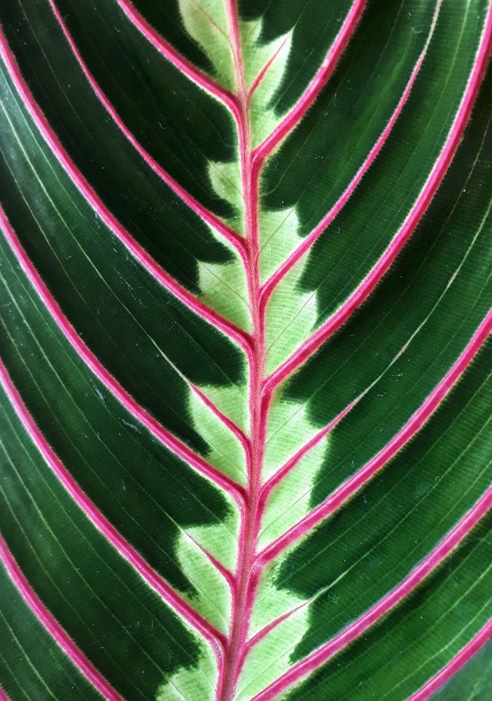 Photograph by Надежда Алешечкина