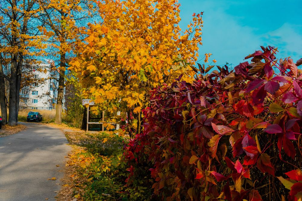 Photograph by Александр Катюрин