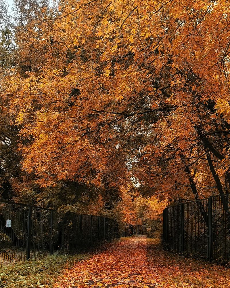 Photograph by Людмила Лукьяненко