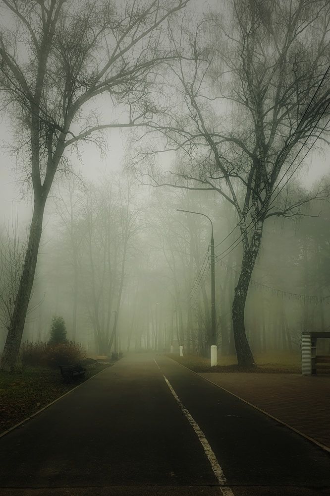 Photograph by Людмила Лукьяненко