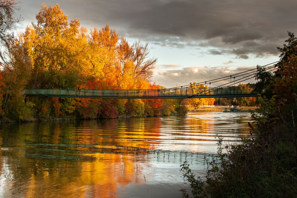 Photograph by Lukas Kulla