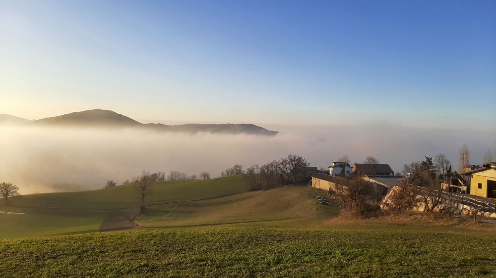 Фотография автора Liliana C.