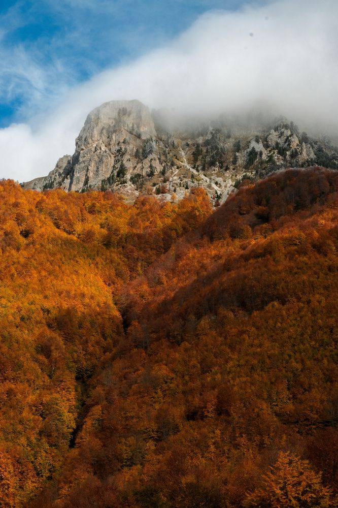 Фотография автора Renis Hyka