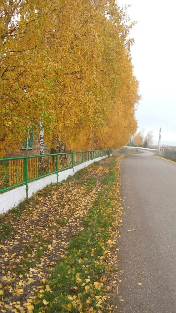 Фотография автора Нурзалия