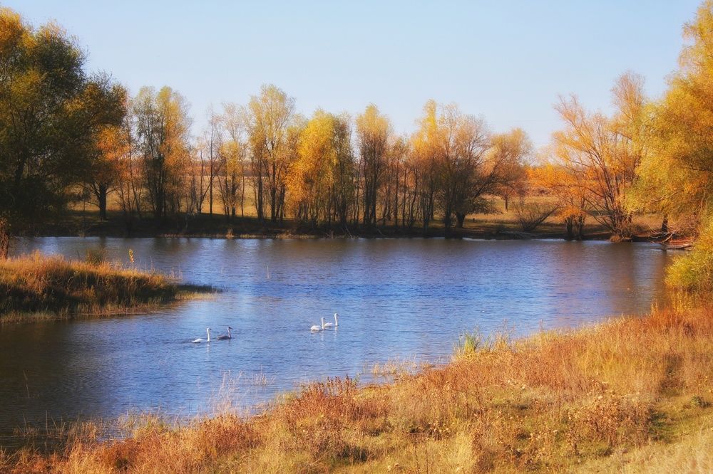 Photograph by Гульжан Шарипова