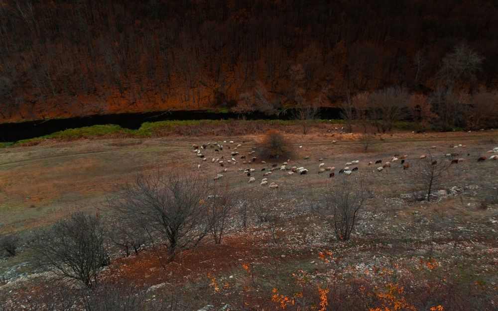 Фотография автора Михаил Назаров
