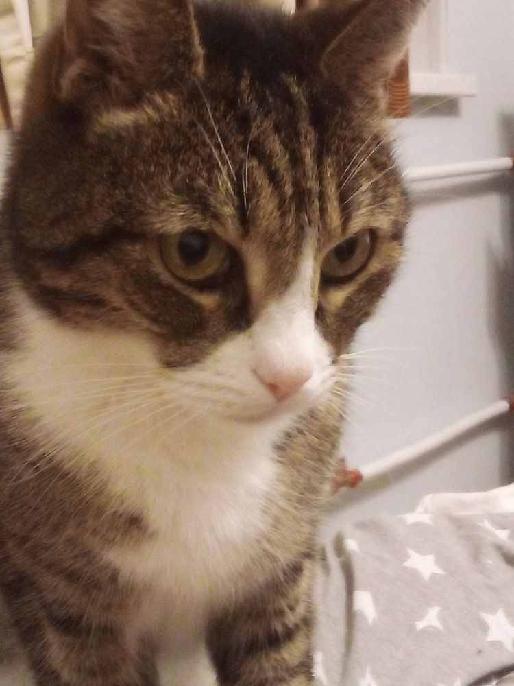 Photo #6684267