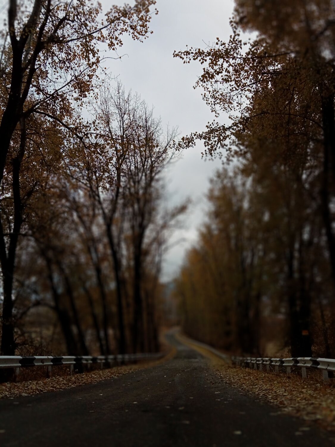 Photo #6684325
