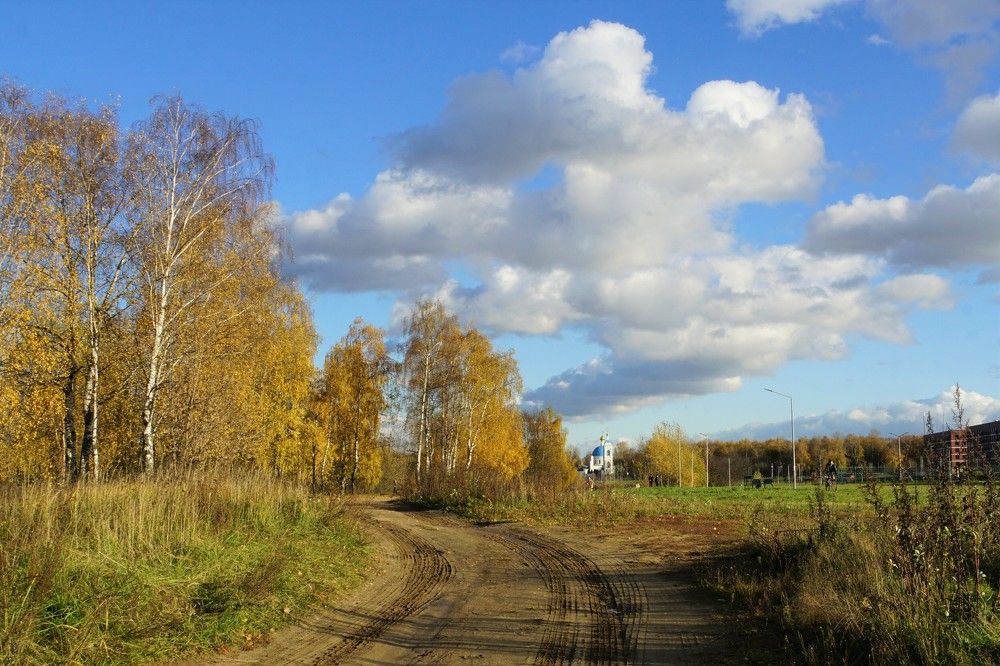 Photograph by Елена Никонова