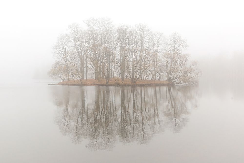 Photograph by Чистякова Валерия