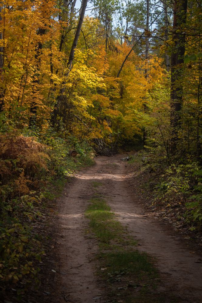 Photograph by Екатерина Андросова