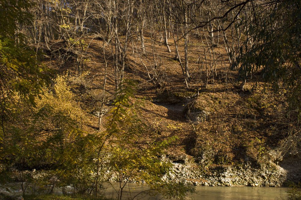 Photograph by Лина Ахмедова