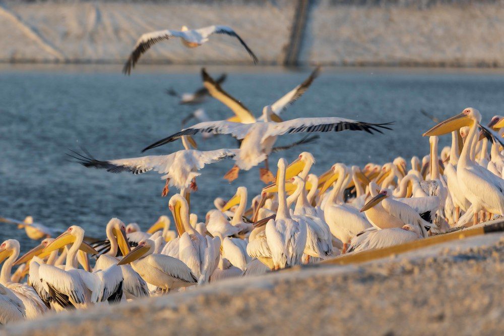 Photograph by klara Neikov