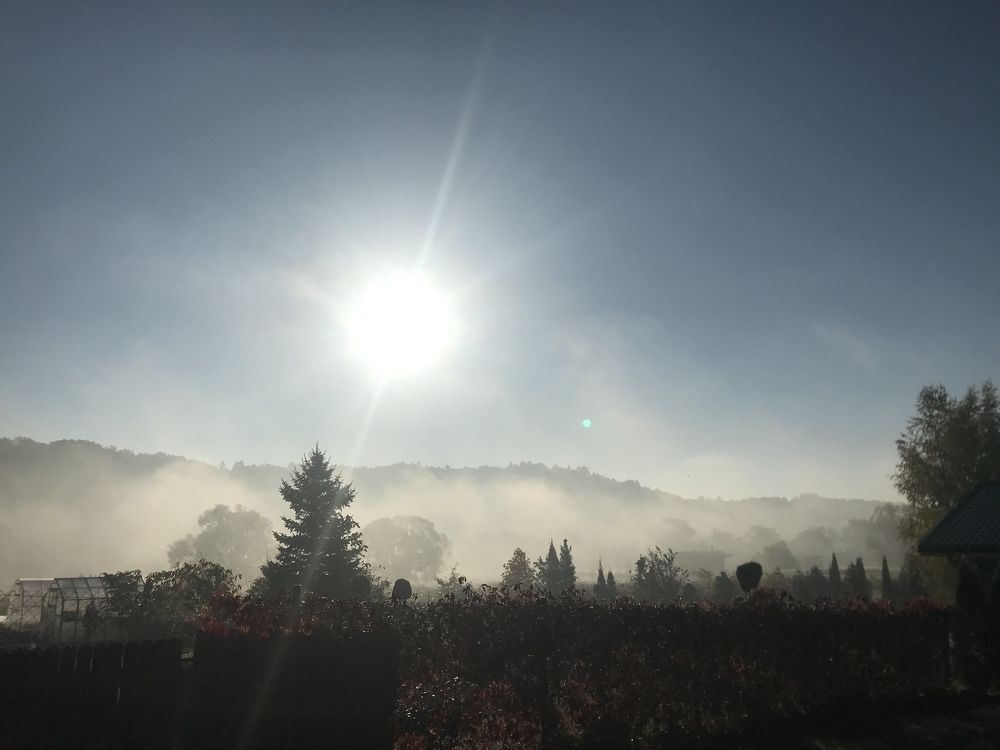 Фотография автора Virginija Sakalauskiene