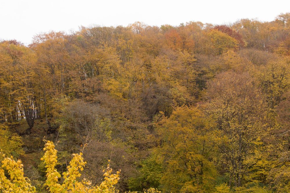 Photograph by Лина Ахмедова