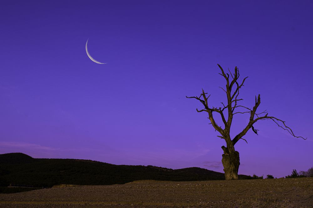 Photograph by Valentin Malinov