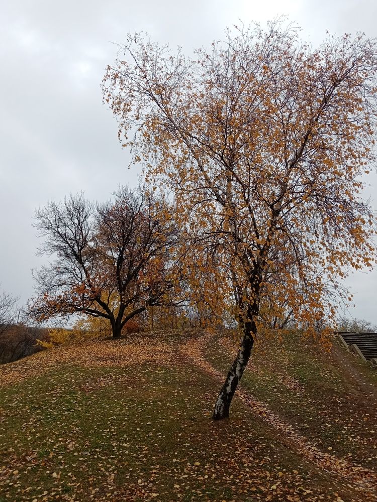 Photo #6684541