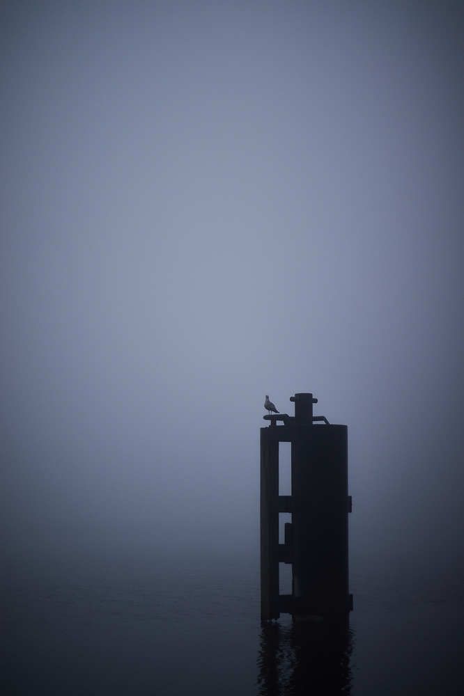 Photograph by Iuliia Dumchenko