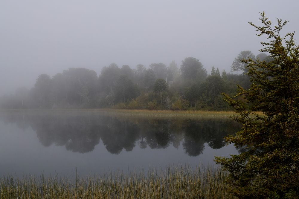 Photograph by Beatriz Games