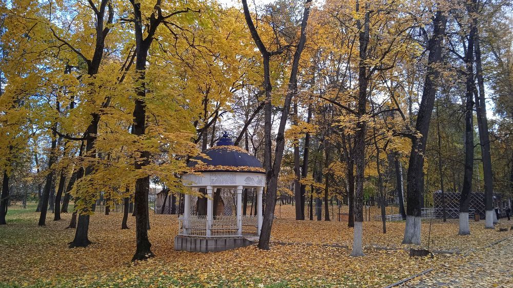 Photograph by Татьяна Евгеньевна