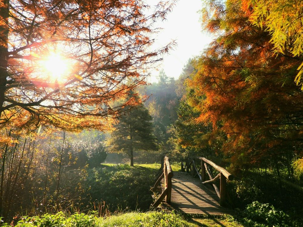 Фотография автора Bastini Gabriele