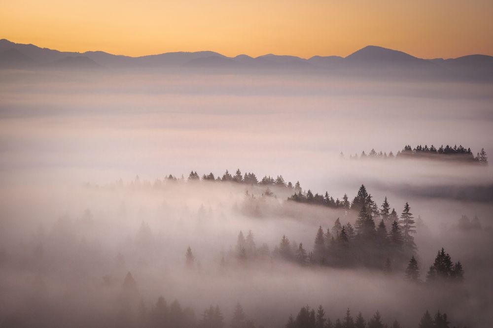 Photograph by Denisa Miazdrová