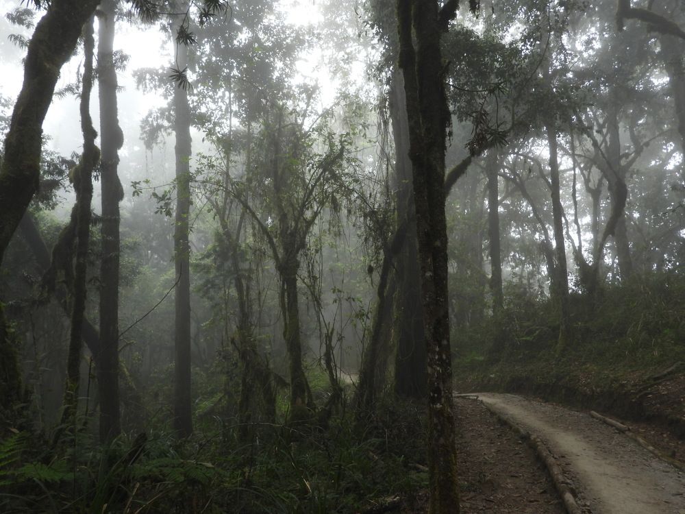 Photograph by Марина Осипова