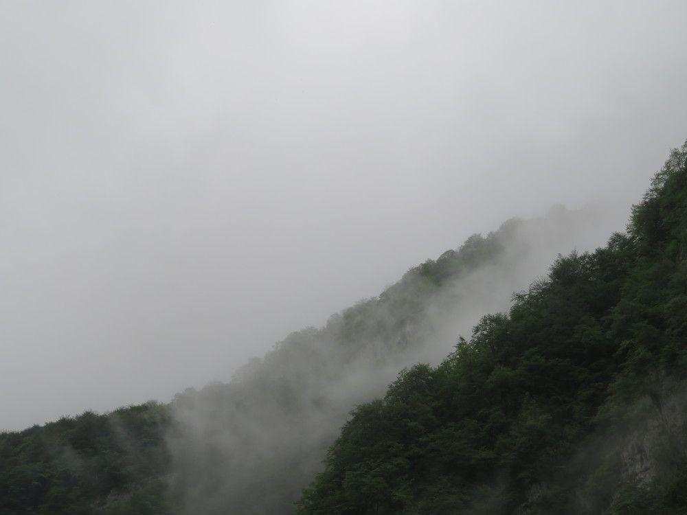 Photograph by Марина Осипова