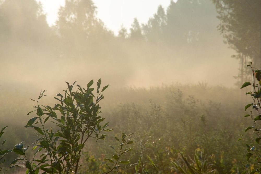 Фотография автора Aлексей Игнатьев