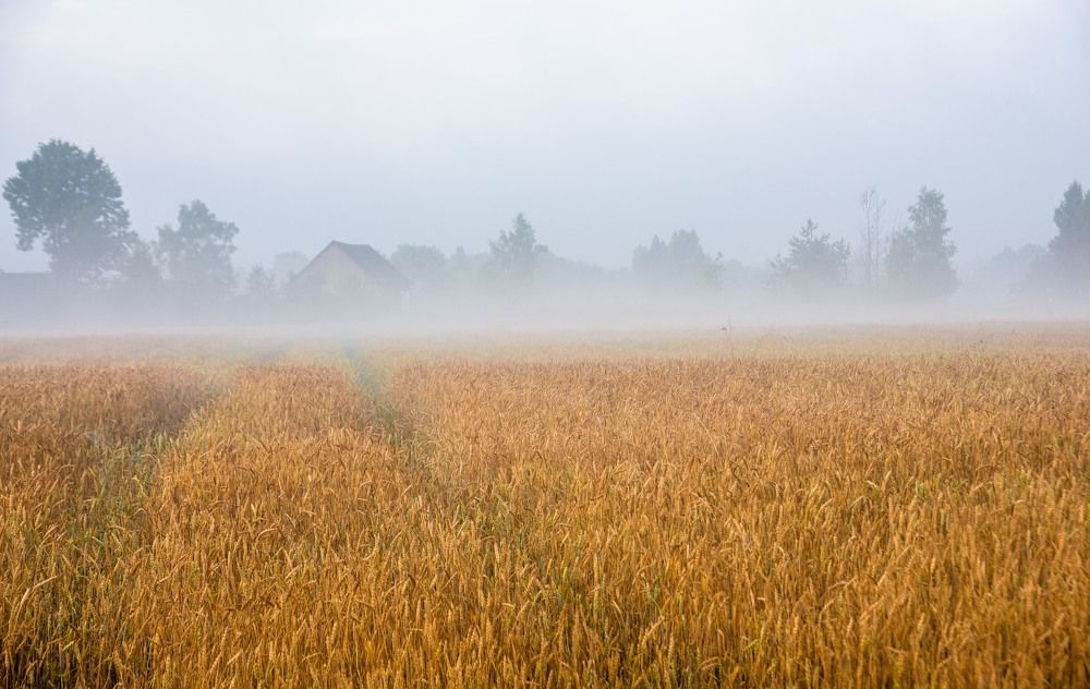 Фотография автора Aлексей Игнатьев