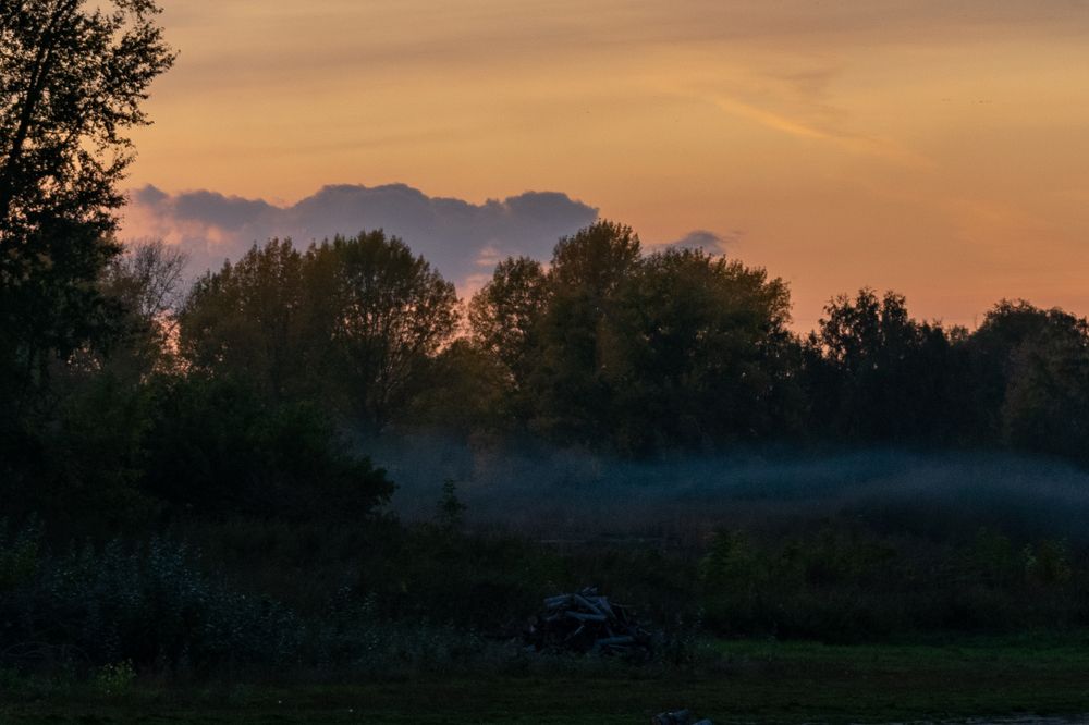 Photograph by Юлия Боровкова