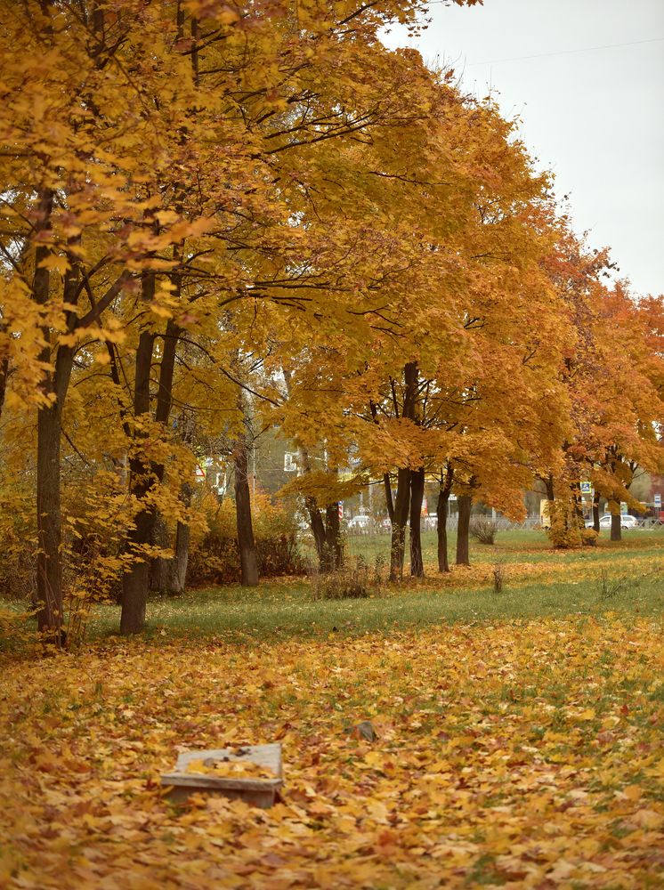 Photograph by Ирина Кленкова