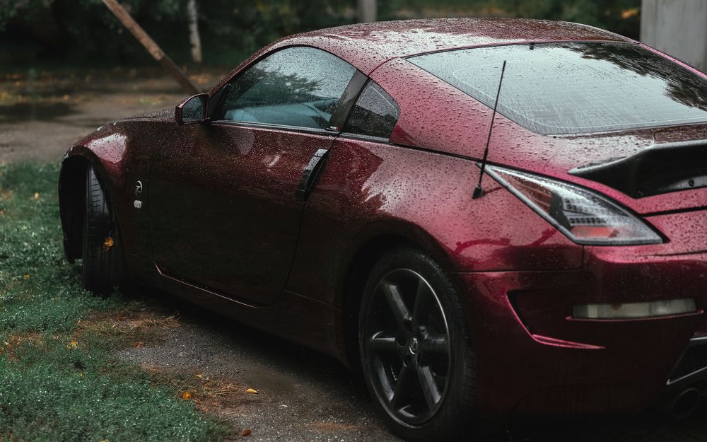 Фотография автора Александр Нестеренко