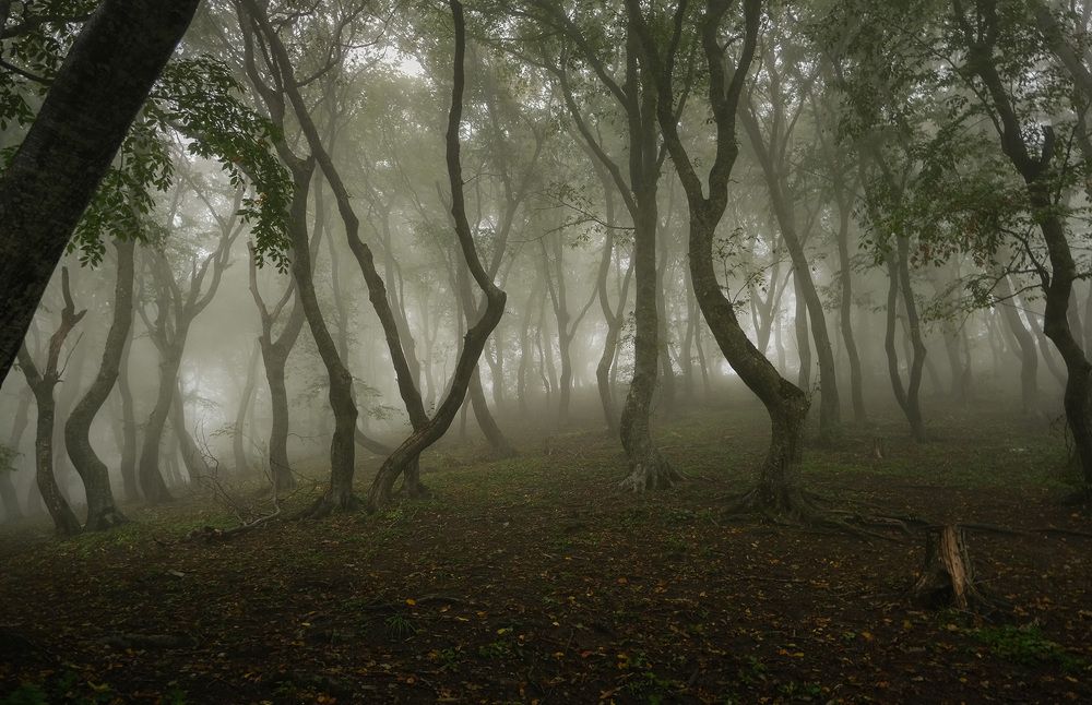 Photograph by Галина Юдина