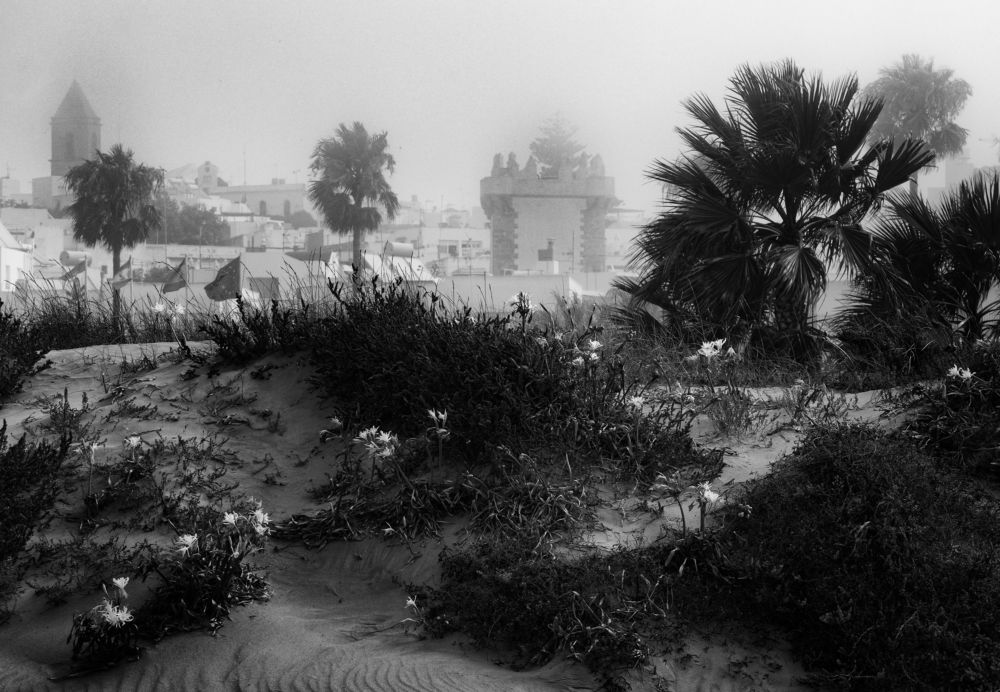 Niebla en el pueblo