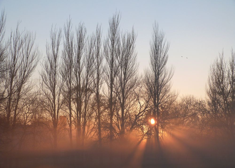 Photograph by Gleydda Gutierrez