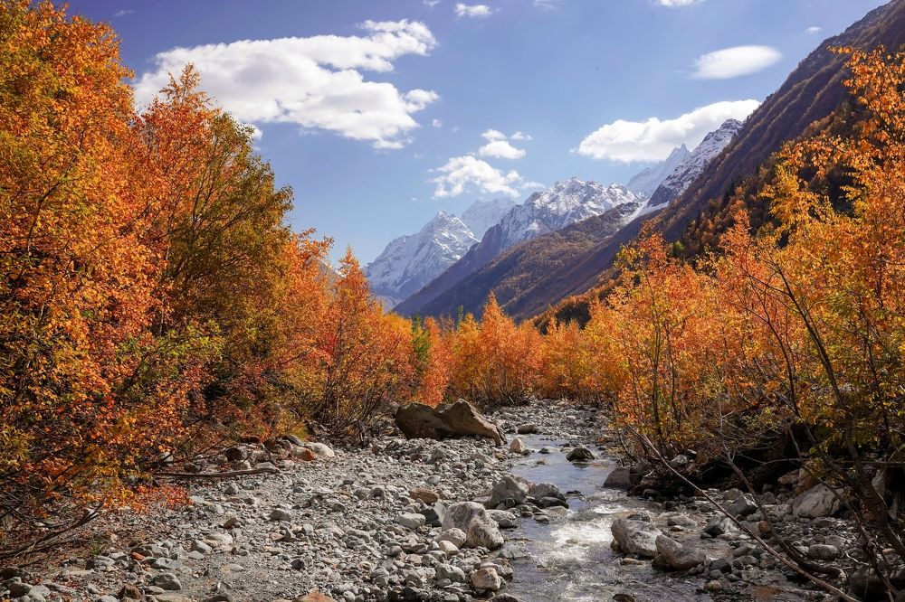 Photograph by Екатерина Коннова